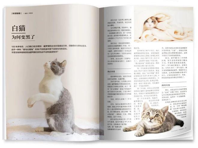 ：体重不再重身体才轻松新刊《国家喊你减肥了》(图3)